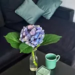 Eleonor Exclusive House