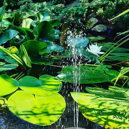 Casa vacanze Eleonor Exclusive House