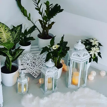 Casa vacanze Eleonor Exclusive House Liszki