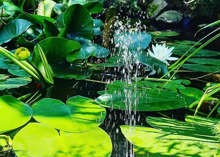 Ferienhaus Eleonor Exclusive House