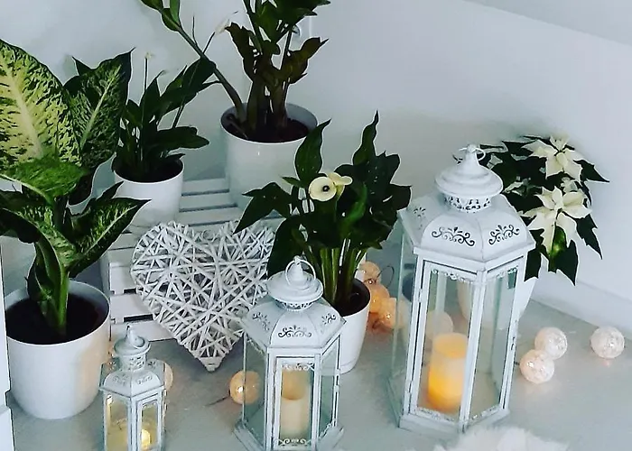 Casa vacanze Eleonor Exclusive House Liszki