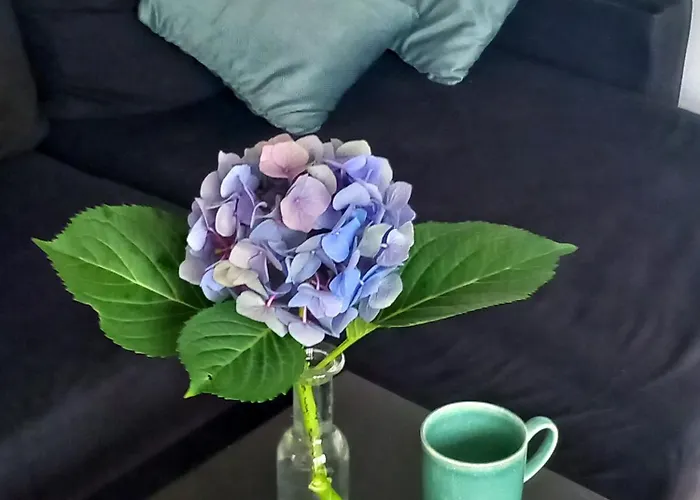 Eleonor Exclusive House